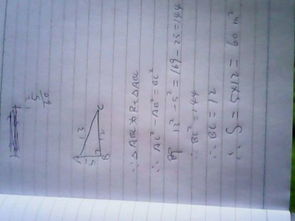 计算台阶地毯铺设面积